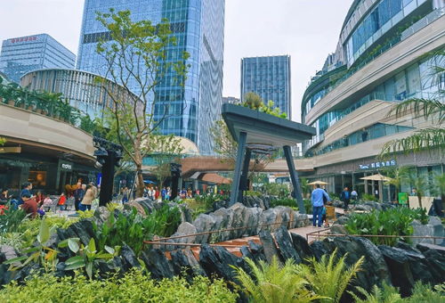 關(guān)注第十八屆重慶市市長國際經(jīng)濟(jì)顧問團(tuán)會(huì)議 重慶打造內(nèi)陸開放綜合樞紐 市長顧問團(tuán)企業(yè)如何助力