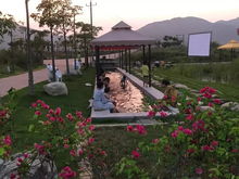 五一小長假,水稻國家公園這些旅游產(chǎn)品吸引近萬市民游客觀光體驗(yàn)......