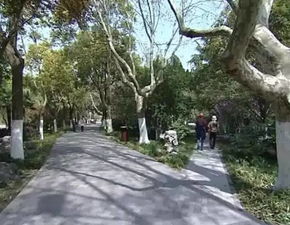 人民公園南拓景觀綠化工程 提速推進建設(shè) 打造園林精品