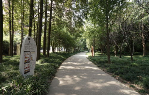 逛公園就能 遇見 食品安全知識(shí) 全市首家食品安全主題廣場(chǎng)亮相徐匯