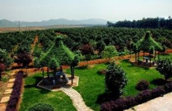 華輝實(shí)業(yè) 園林綠化 庭院綠化 綠植租擺