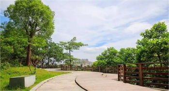 龍崗半年治水成績(jī)單出爐,你還滿意嗎