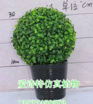 仿真樹批發(fā) 中高端仿真米蘭樹 生態(tài)園林裝飾 綠化工程 - 仿真樹批發(fā) 中高端仿真米蘭樹 生態(tài)園林裝飾 綠化工程廠家 - 仿真樹批發(fā) 中高端仿真米蘭樹 生態(tài)園林裝飾 綠化工程價格 - 東莞市愛詩特實業(yè) - 