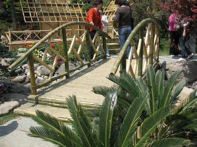 綠化工程_綠化工程供貨商_供應(yīng)綠化工程領(lǐng)先企業(yè)-上海綠化工程首選哪家公司_綠化工程價(jià)格_上海康馨園林(晨蘇實(shí)業(yè))