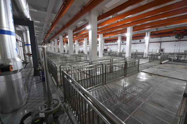 綠茵之下，匠心筑夢 一座公園的園林實業密碼